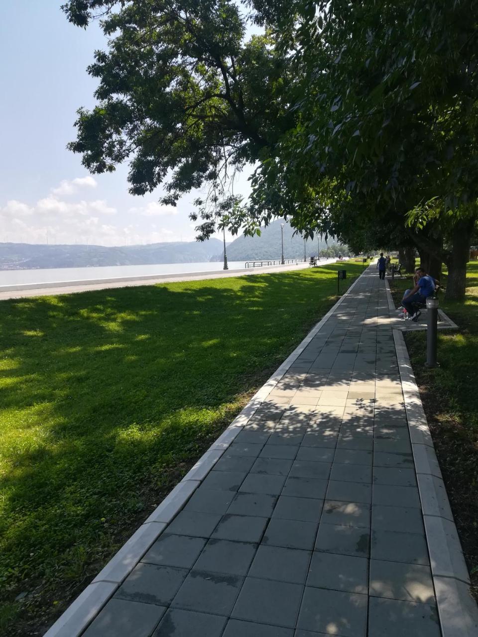 Apartman Bogic Golubac Esterno foto