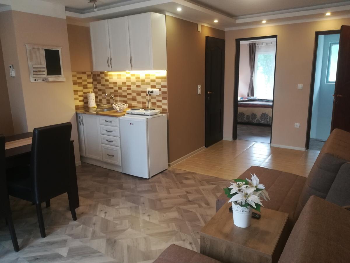 Apartman Bogic Golubac Esterno foto